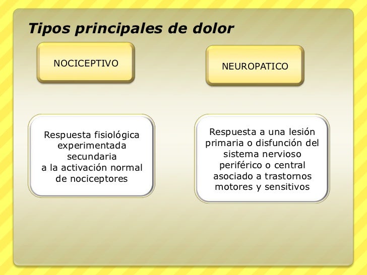 dolor nociceptivo y neuropatico